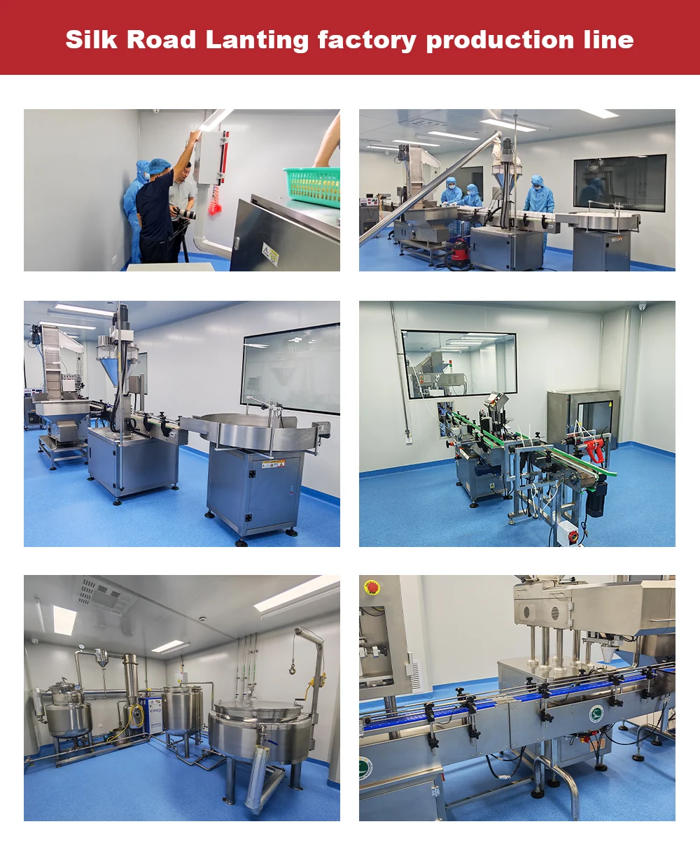 SILKROAD LANTING factory production capability
